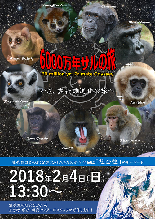 20180204primate odyssey