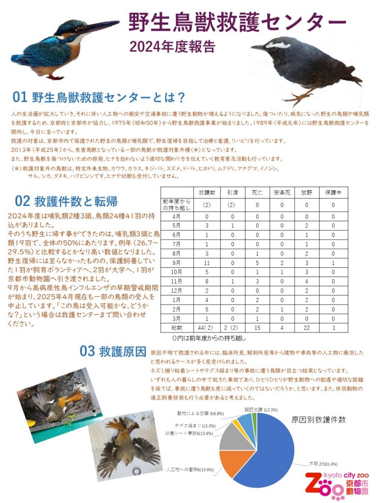 2024年度年次報告