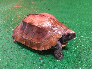 DSCF5669
