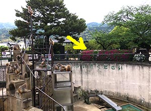 blog20170506-04